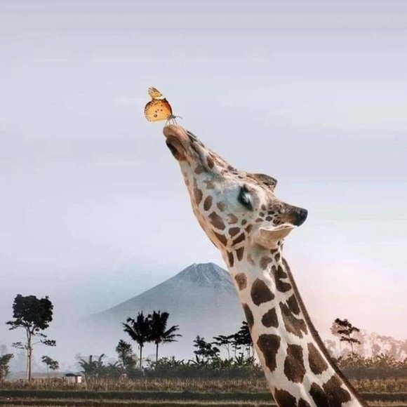 Meet your Posher, Beth - Picture 7 of 7